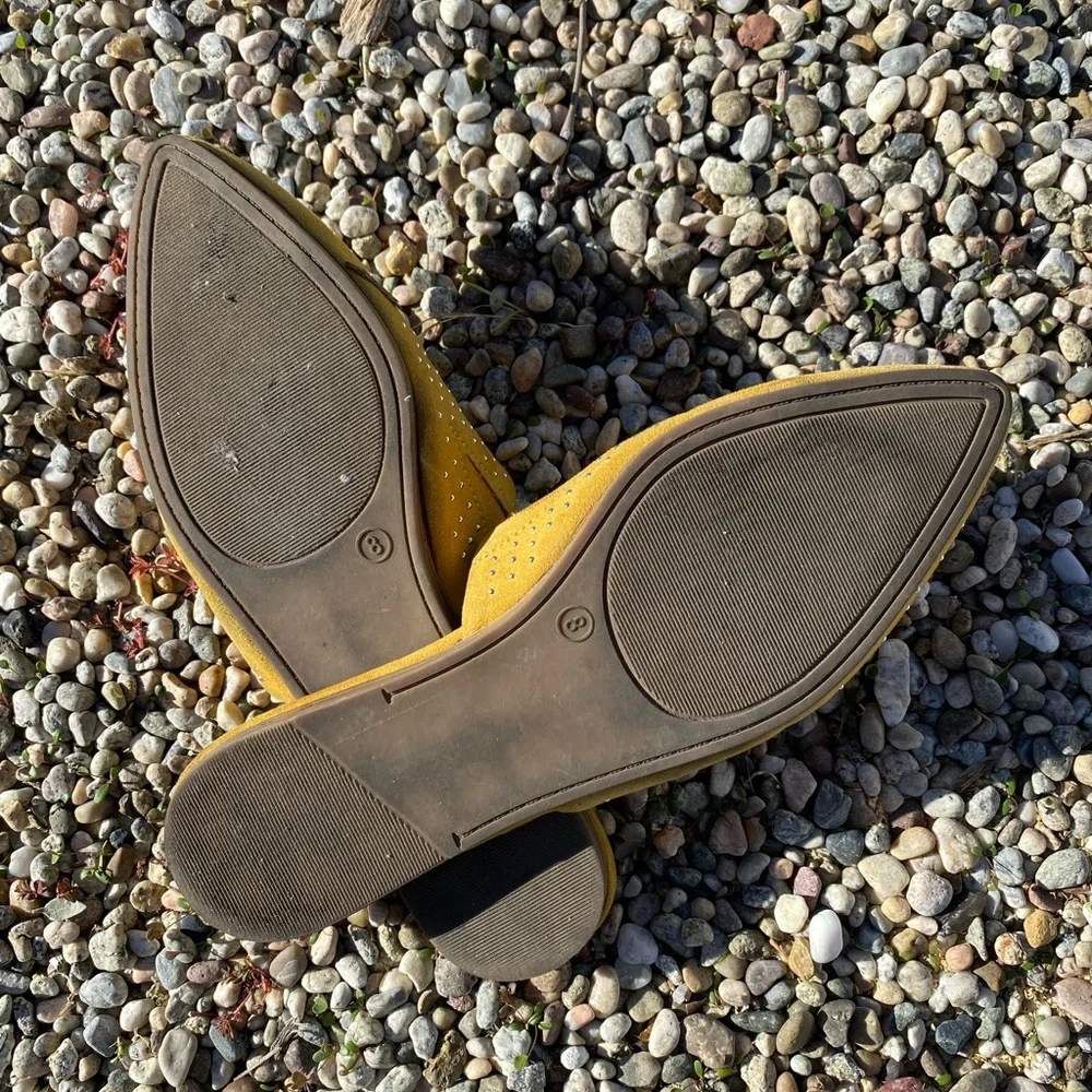 Beautiful ☀️ Mules! - Picture 4 of 4